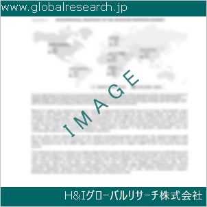 グローバルリサーチ調査資料のイメージ